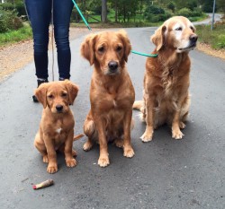 3 generationer Currie, Greta och Astrid